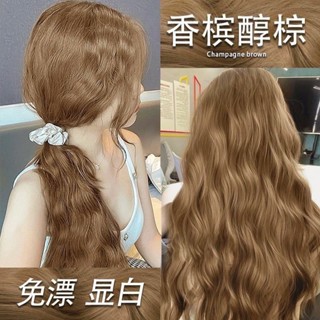 植物泡泡染 泡泡染髮劑 泡沫染 植物純天然 玫瑰金霧粉泡泡染 免漂 2026年最新流行髮色合集 染髮 不傷髮質