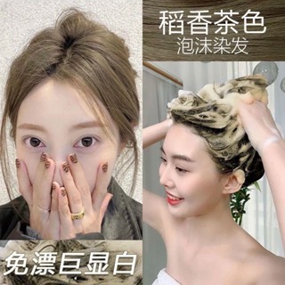 植物泡泡染 泡泡染髮劑 泡沫染 植物純天然 玫瑰金霧粉泡泡染 免漂 2026年最新流行髮色合集 染髮 不傷髮質