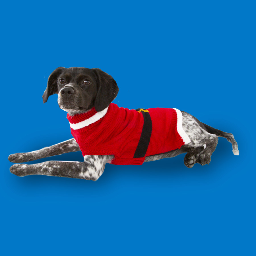 Wonder Christmas Santa jersey navideño para perros