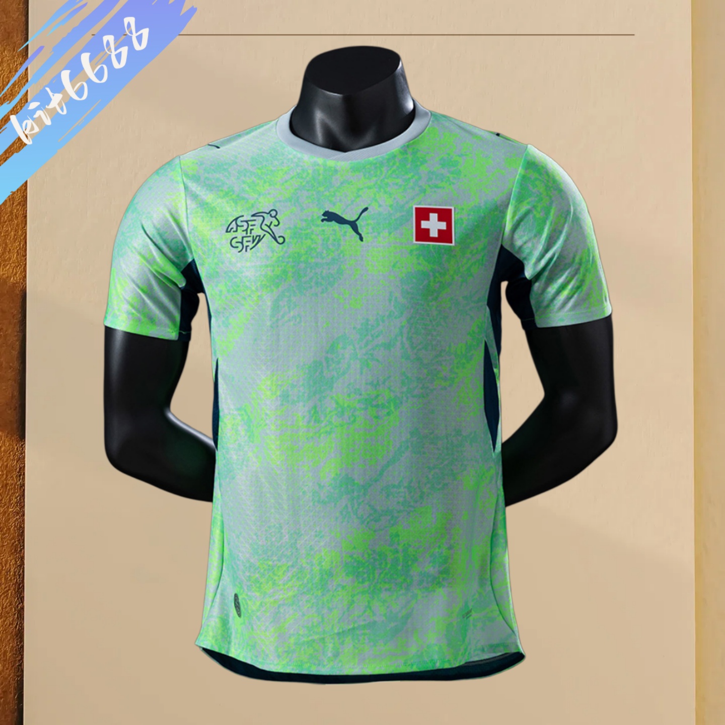 2026 Switzerland Away Football Shirt （player Edition）