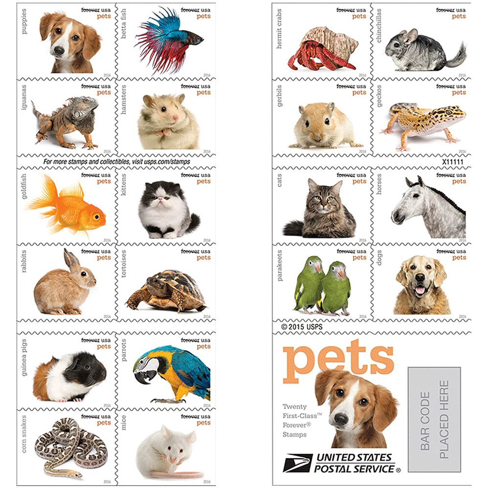 🎁[US Free Shipping]100PCS-Pets