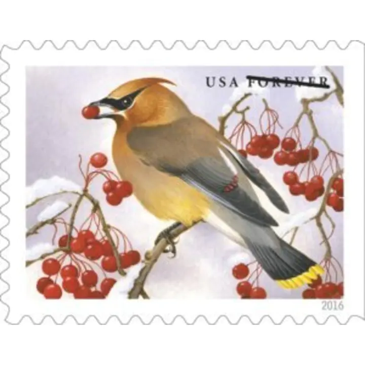 🎁[US FREE SHIPPING]100PCS-Songbirds in Snow