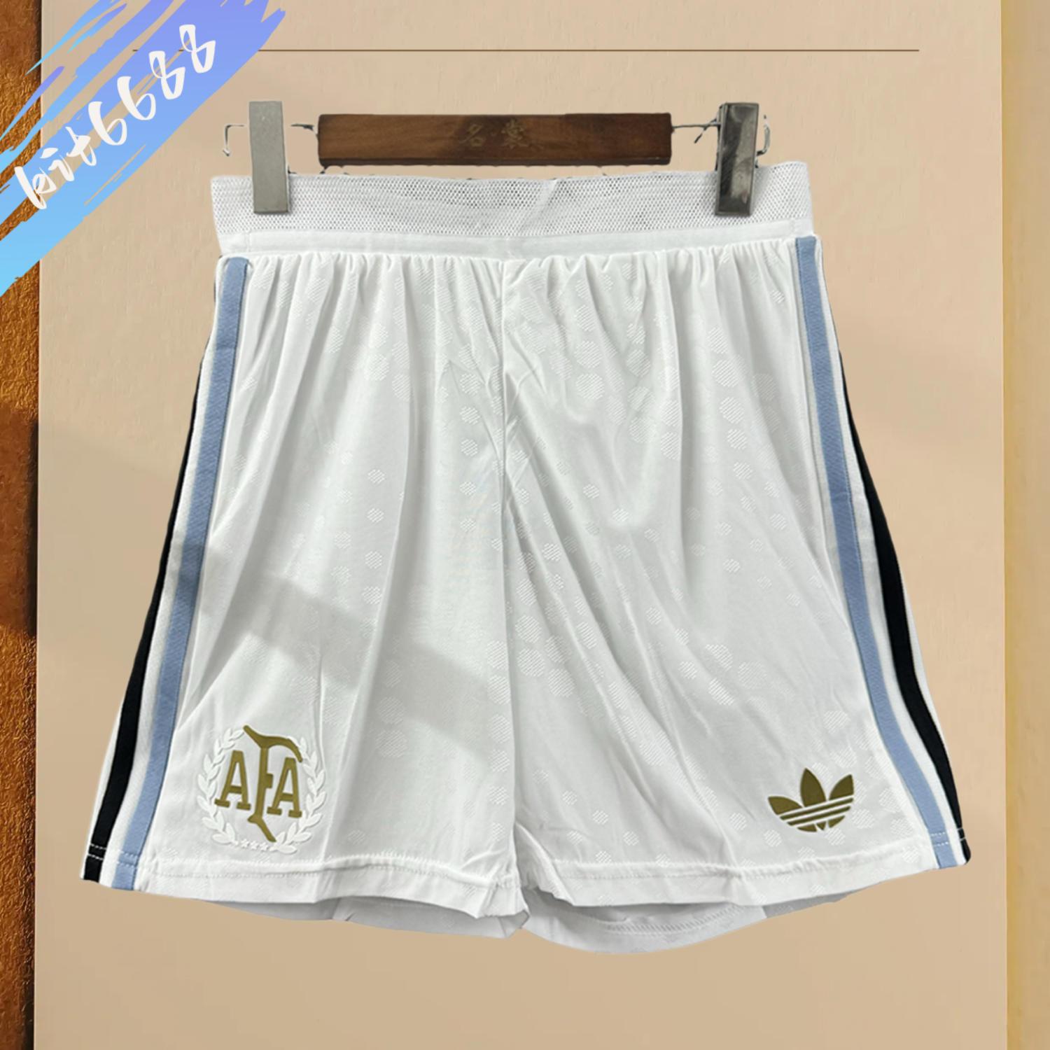 2026 Argentina Football Shorts (Player short)