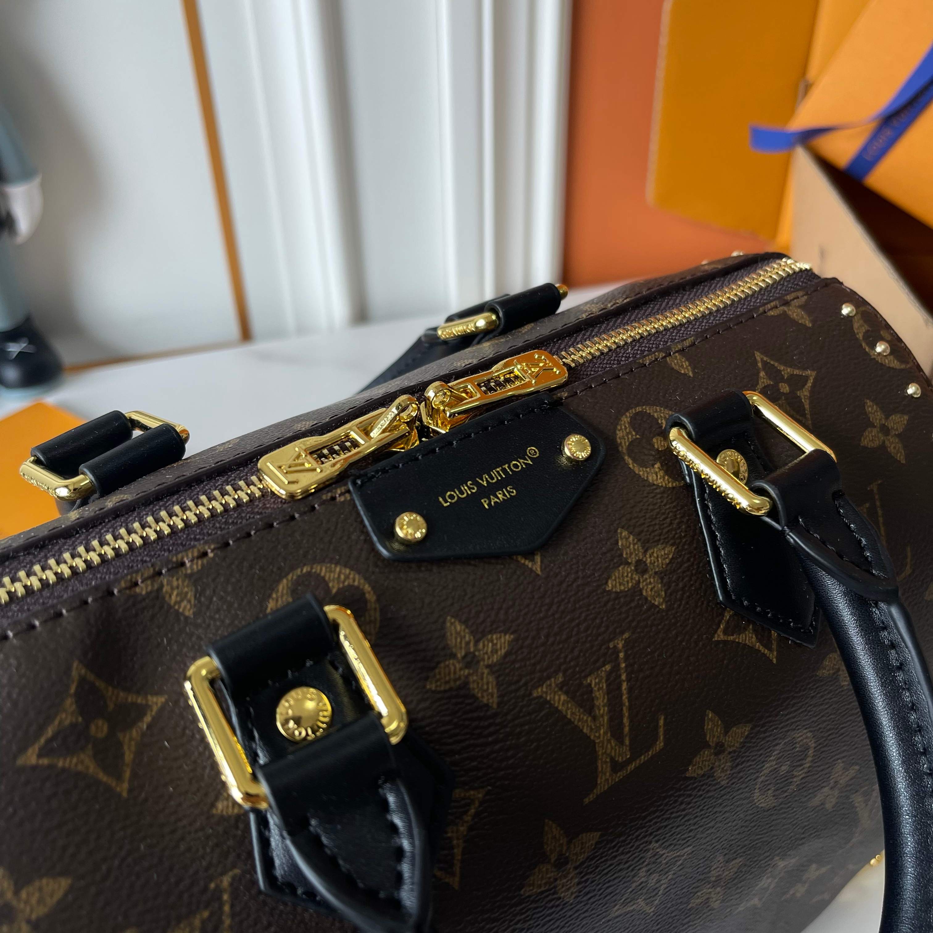 Louis Vuitton the new Speedy 25 model