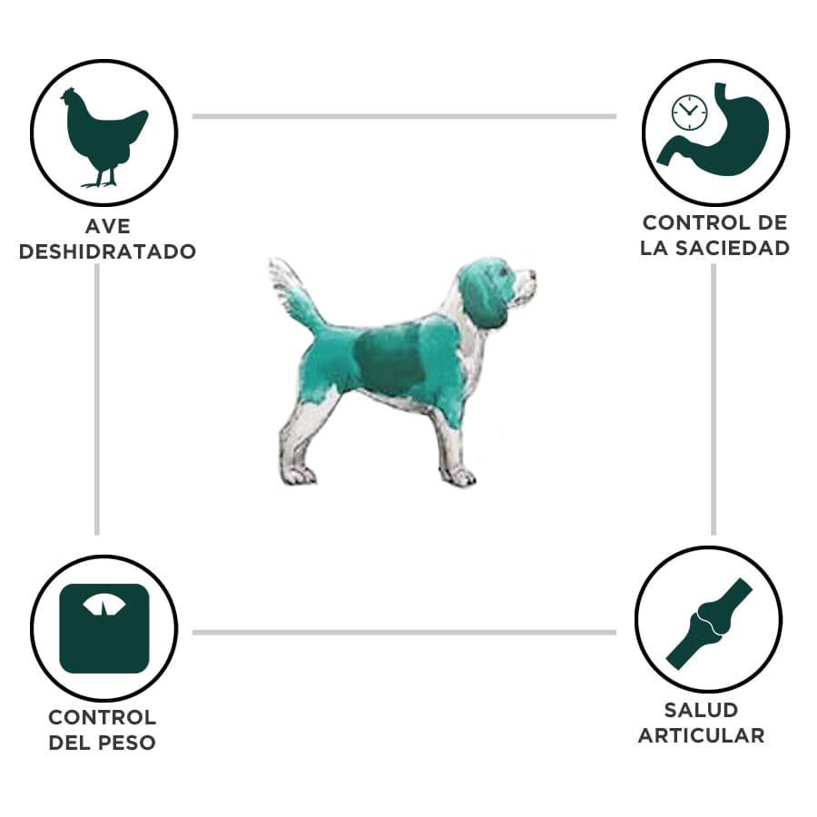Criadores Dietetic Adulto Obesity pienso para perros