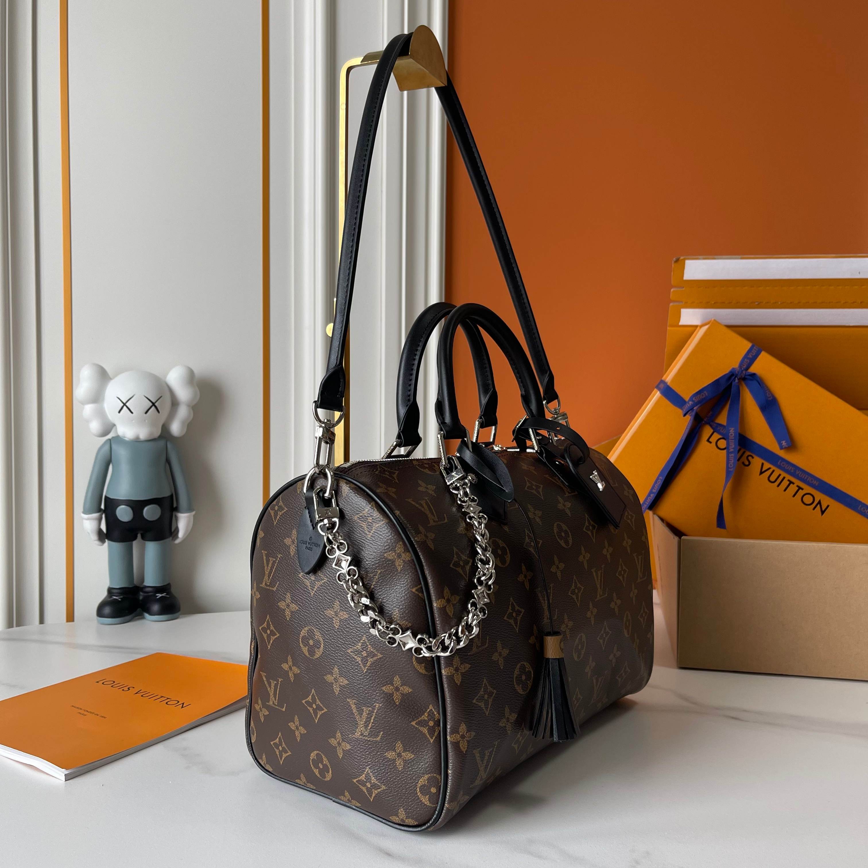 LV The Speedy Soft 30 Boho handbags