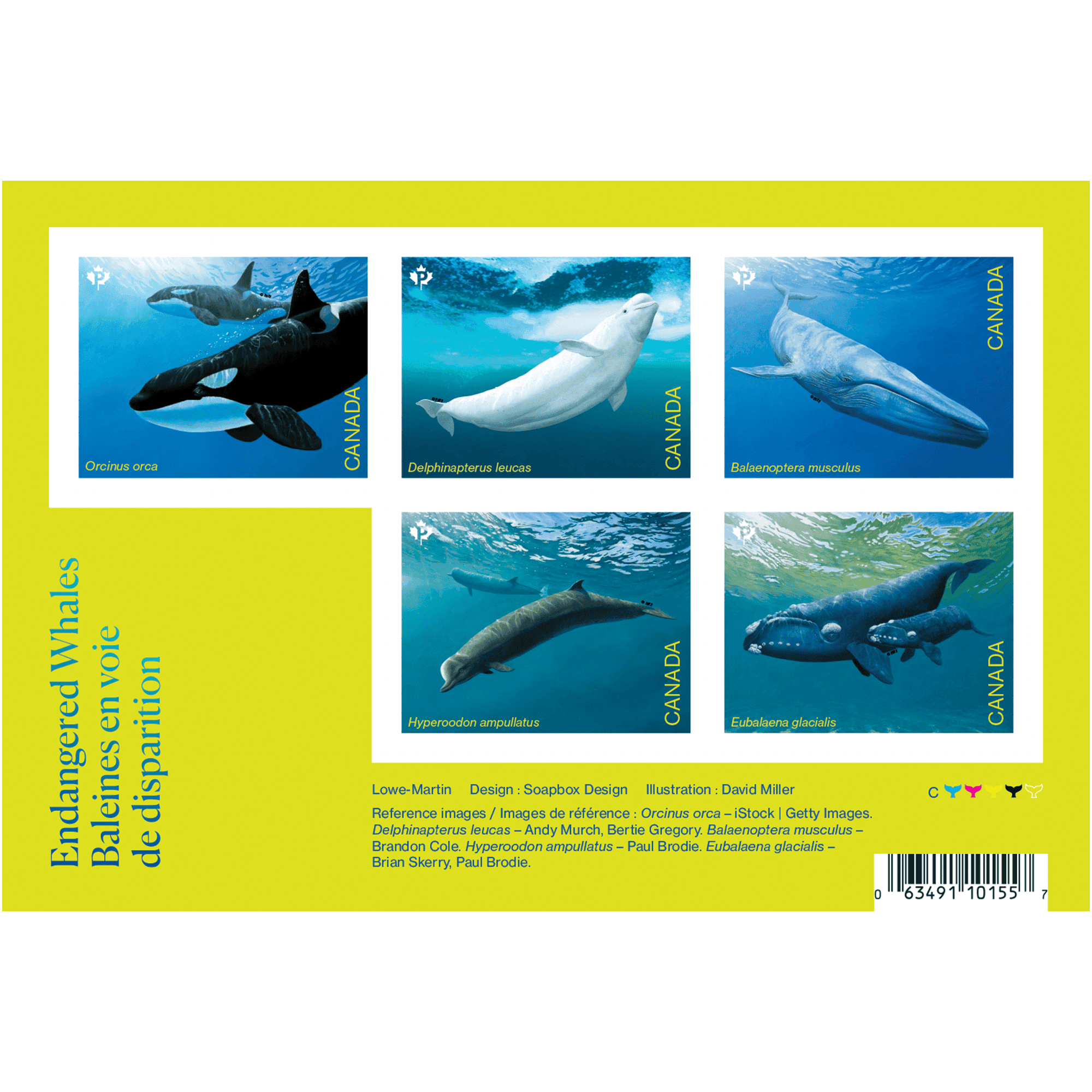 Endangered Whales – Souvenir Sheet, 100 Pcs