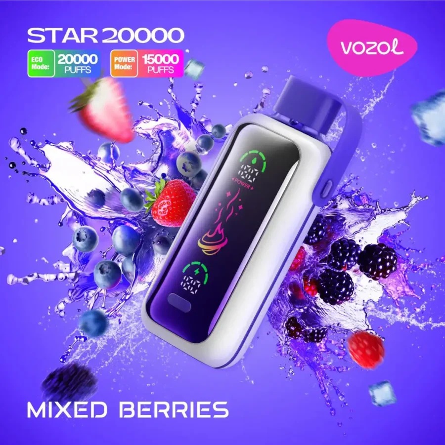 VOZOL Star 20000 Dual Power Rechargeable Vape (10 Vapes)