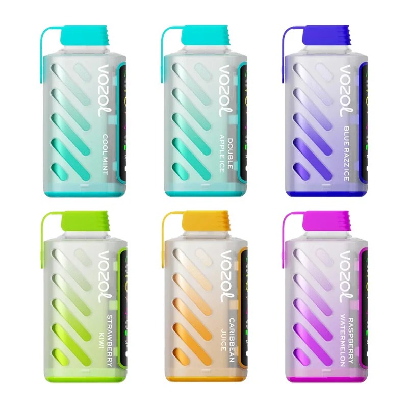 VOZOL Gear Power 20000 Rechargeable Vape (10 pieces)