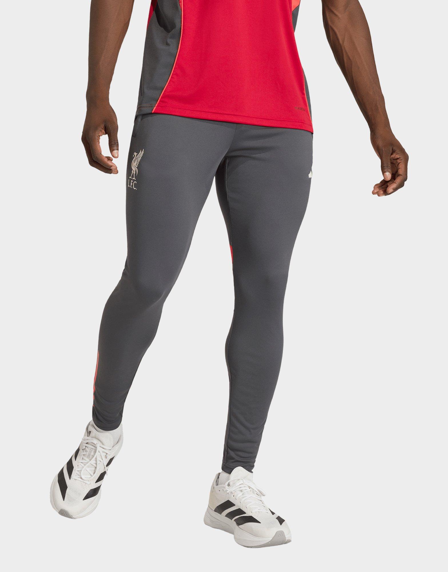 adidas FC Liverpool Tiro 25 Competition Trainingshose