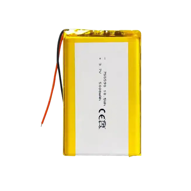 Pouch Lithium Ion Batteries 755590 3.7v5000mAh