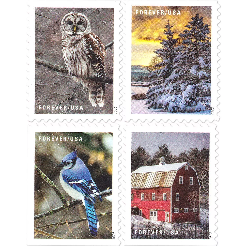 🎁[US Free Shipping]100PCS-Winter 2020