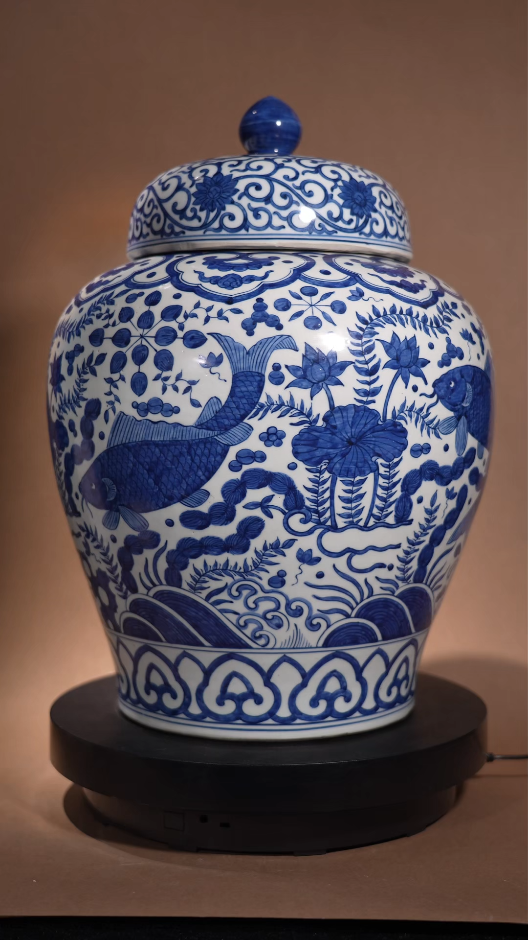 Ancient Chinese Blue and White Covered Jar with Fish and Algae Motifs