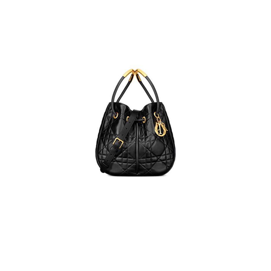Large Dior Nolita Bag