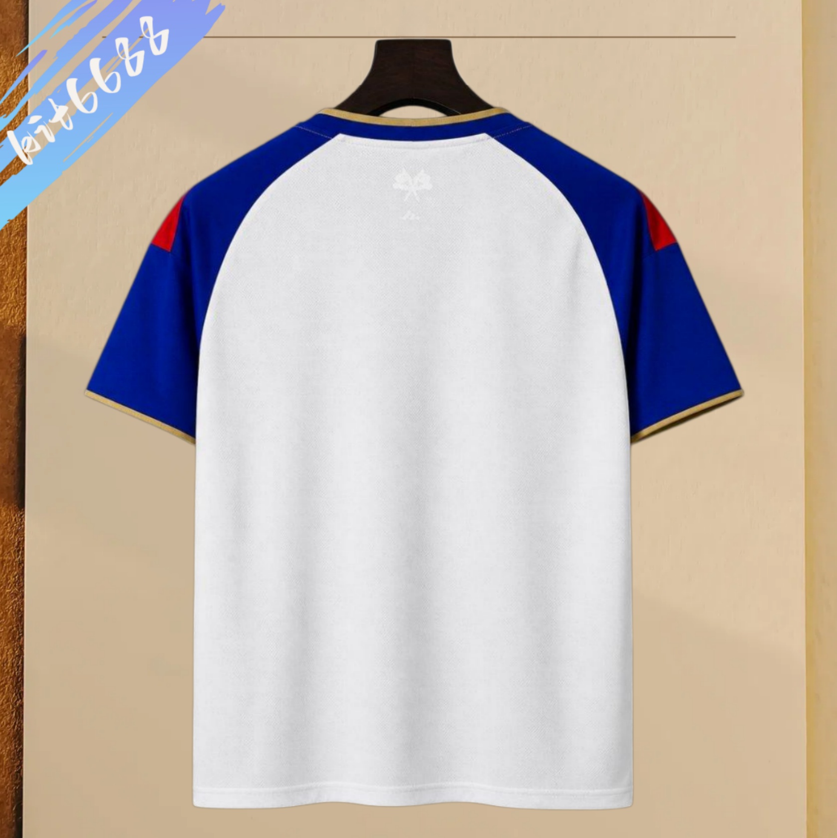 2026/2027 Lyon Pre-match Home Football Shirt (Fan Edition)