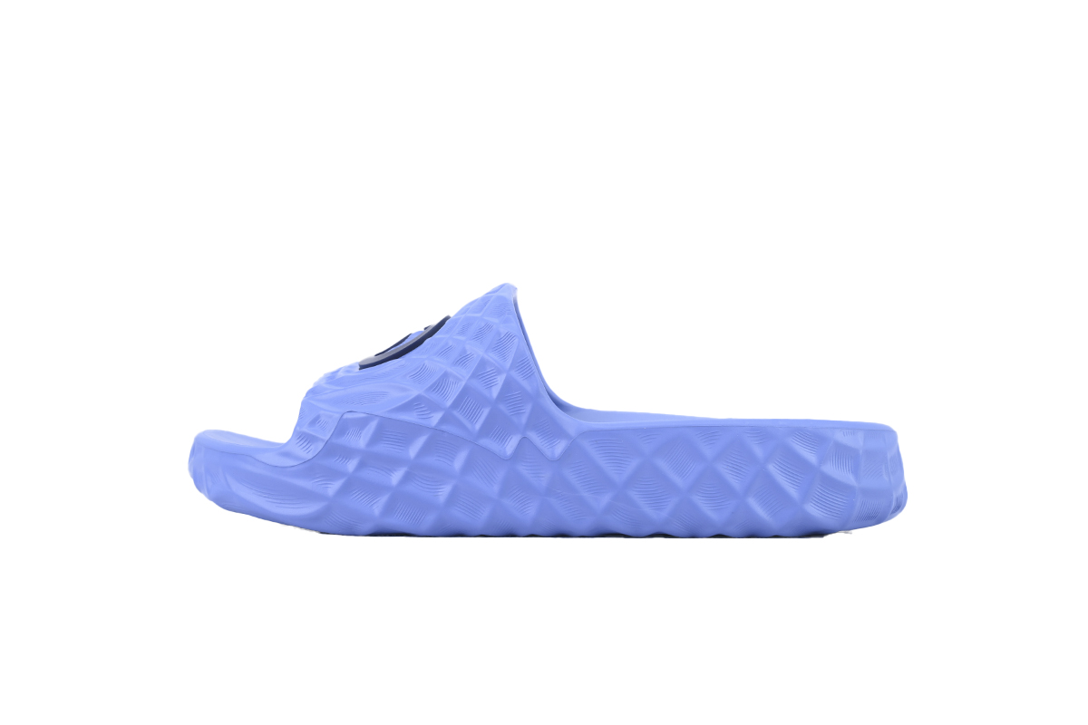 Gucci Slippers Blue