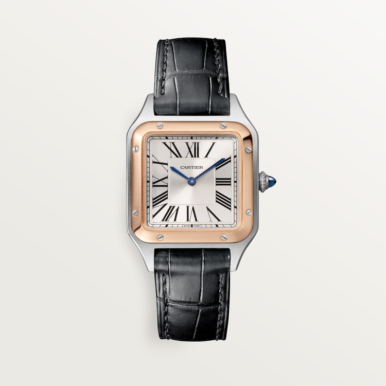Santos-Dumont watch Small model Satin-brushed silver dial 38 mm x 27.5 mm
