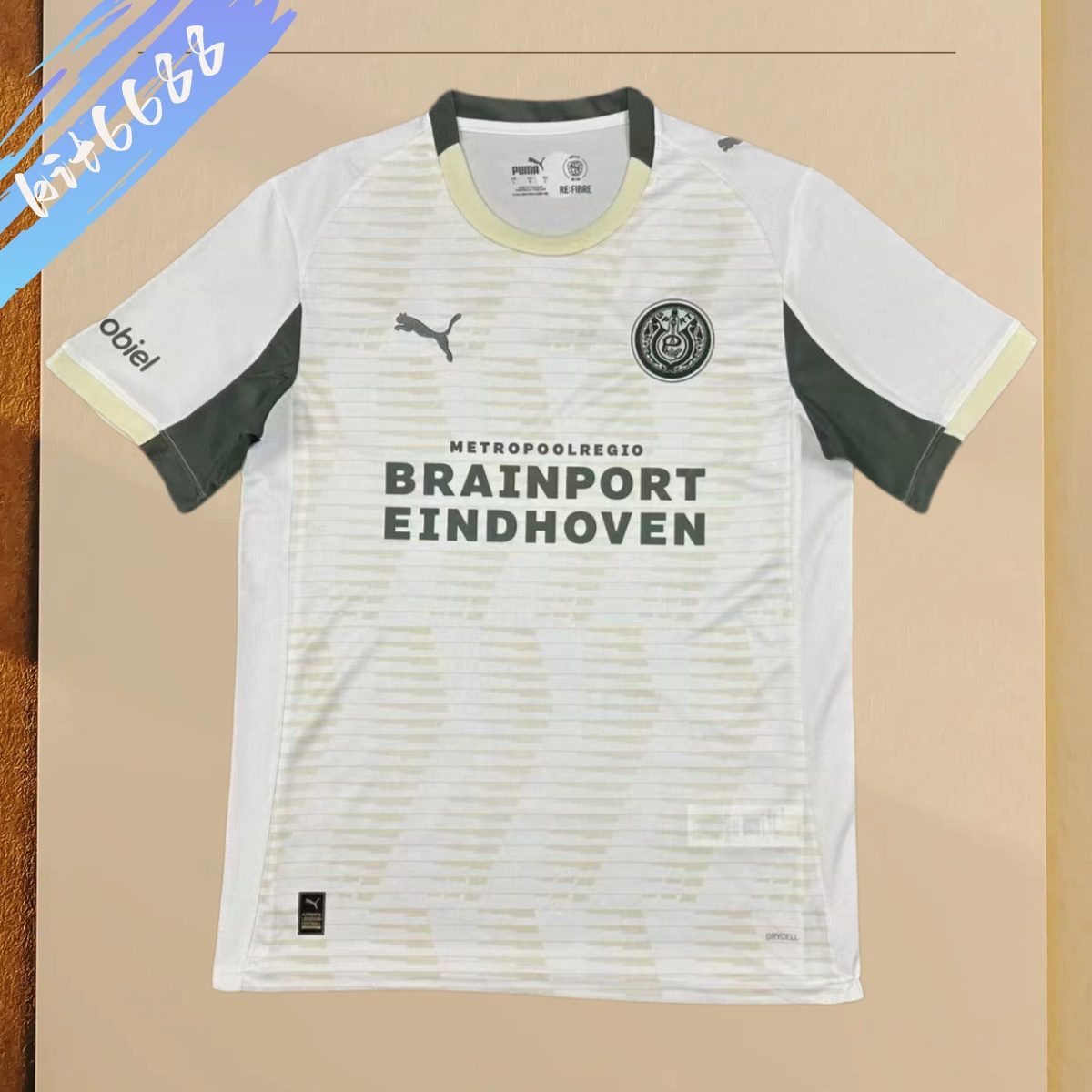2025/2026 PSV Eindhoven Second away jersey (Fans)