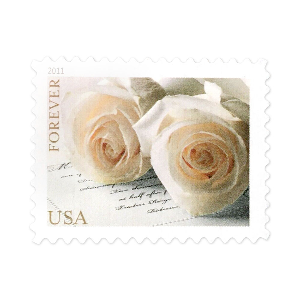 🎁[US Free Shipping]100PCS-Wedding Roses 2011