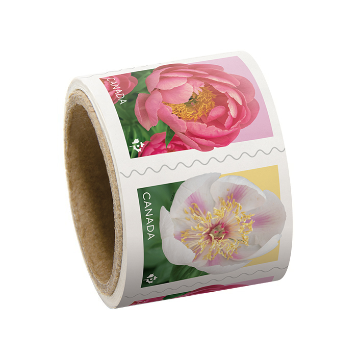 Peonies (2025) – Permanent™ Stamps, Coil of 50 (2 Coils Minimum)