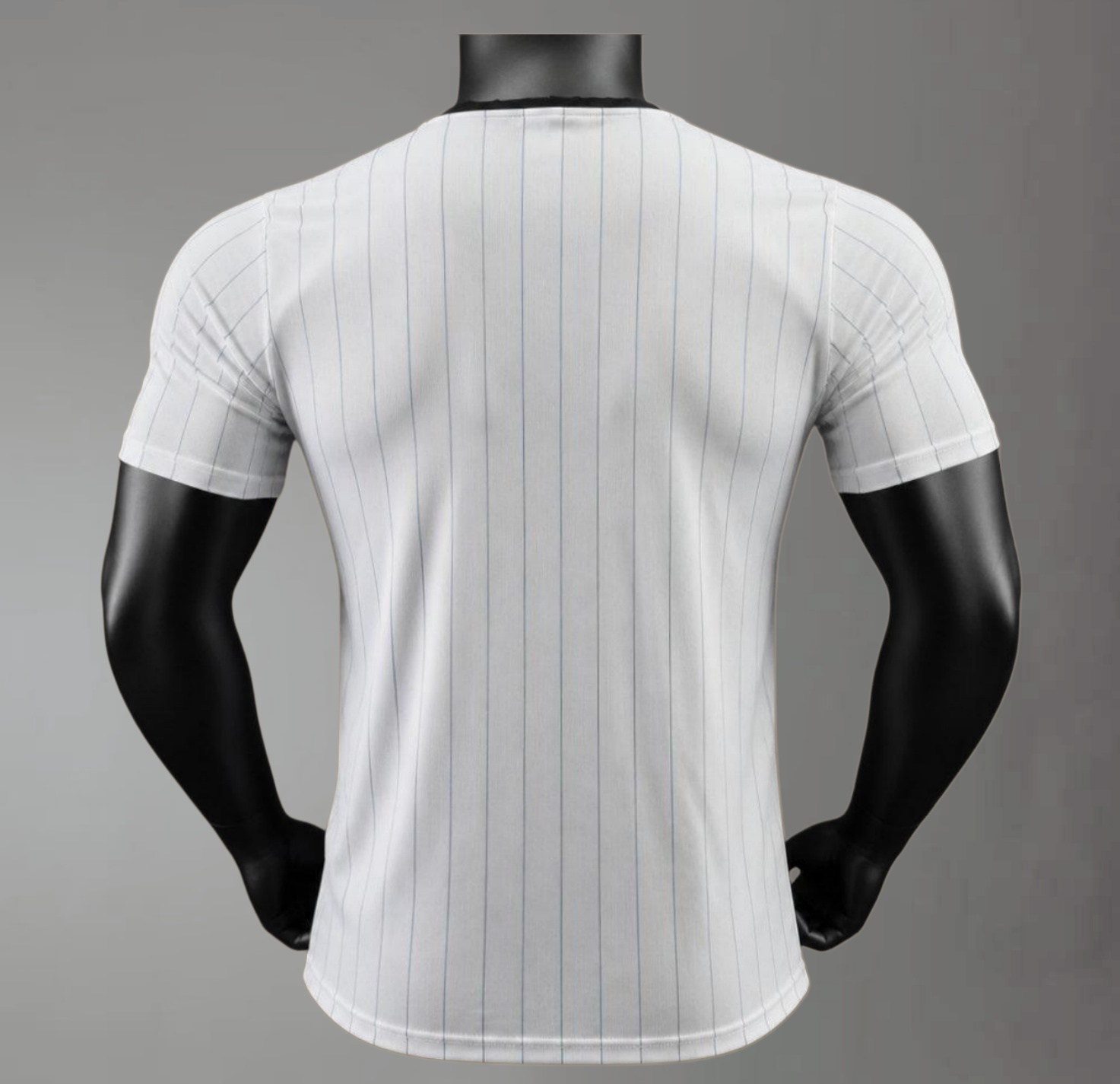 2026 2027 Argentina training suit Football Shirt (Player Edition)