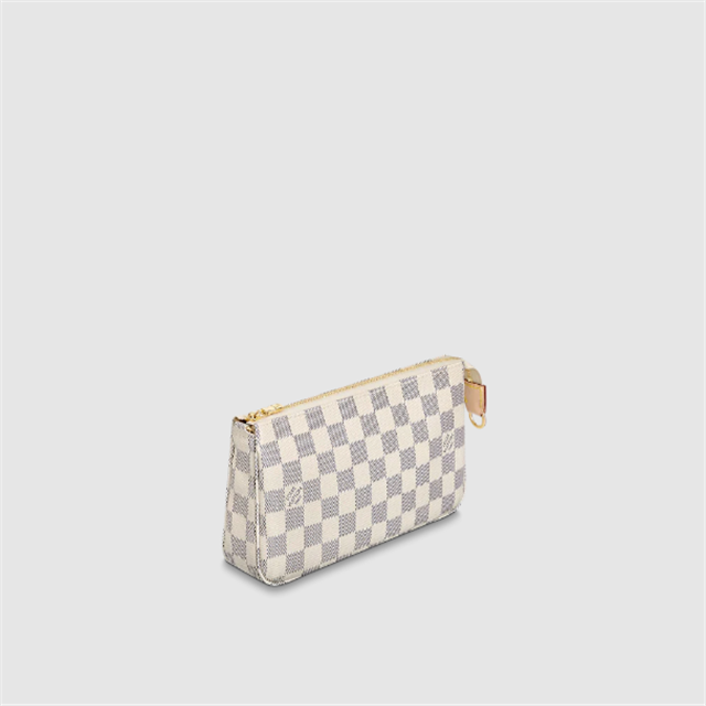 Accessories Pouch N41207