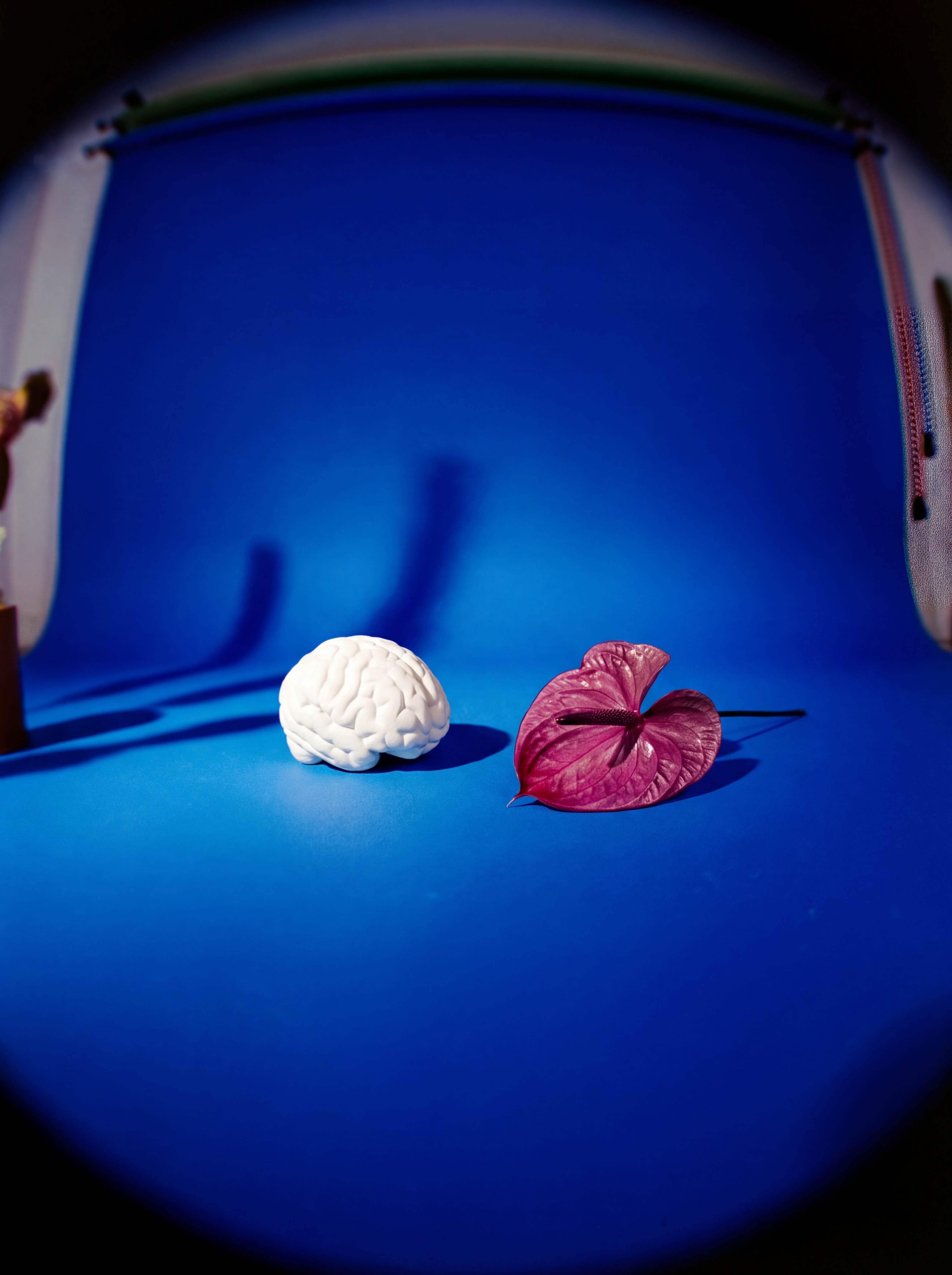 My Body Says Yes, My Brain Says No (Or Vice Versa): The Science of Arousal Non-Concordance