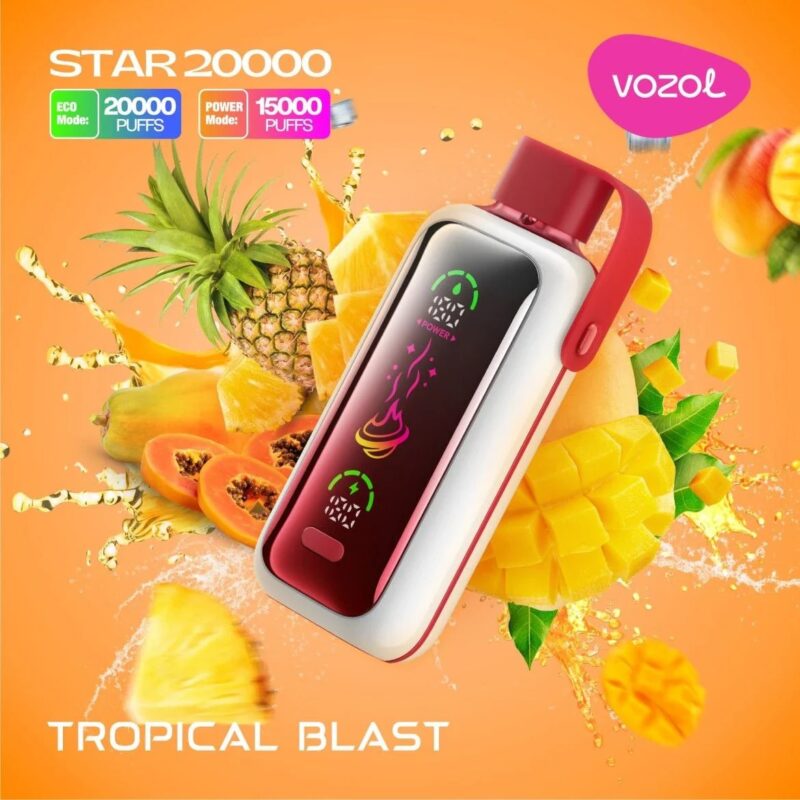 VOZOL Star 20000 Dual Power Rechargeable Vape (10 Vapes)