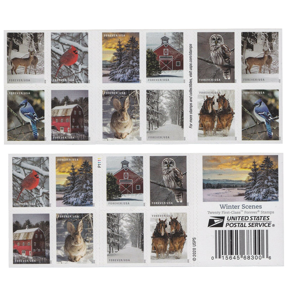 🎁[US Free Shipping]100PCS-Winter 2020