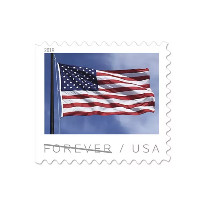 🎁[US Free Shipping]100PCS-2019 US Flag