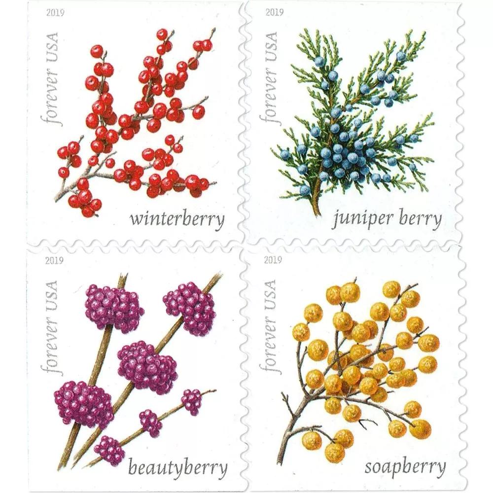 🎁[US Free Shipping]100PCS-Winter Berries