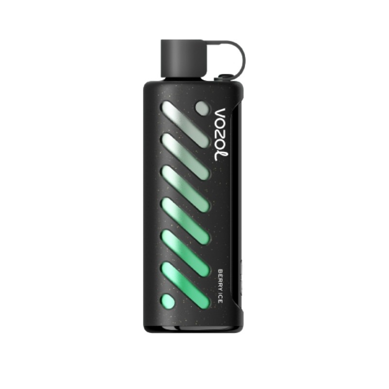 VOZOL GEAR SHISHA 25000 (10 pieces)