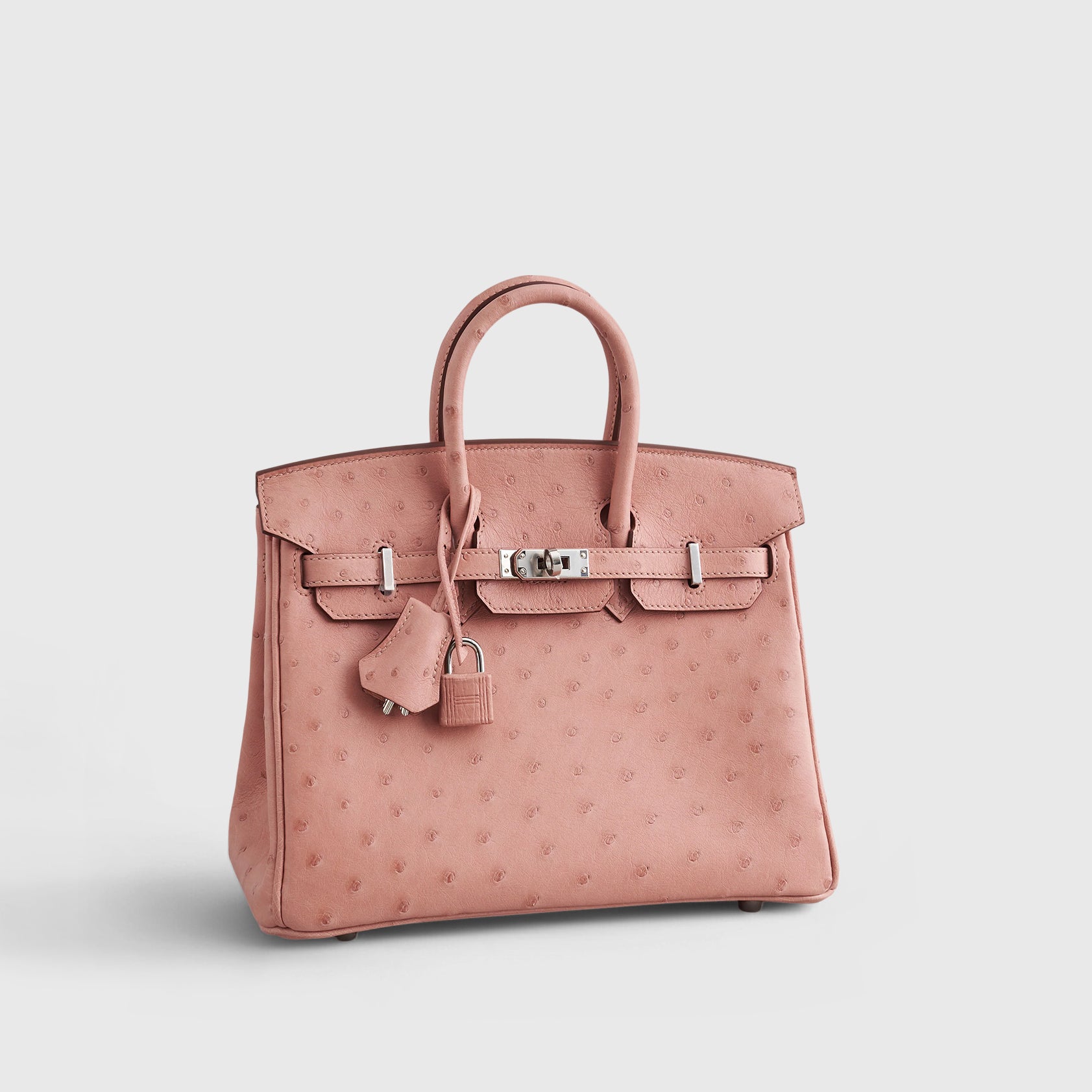 Hermès Birkin 25 Ostrich Terre Cuite Palladium Hardware