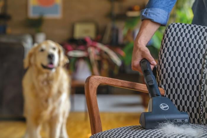 HOOVER - Aspirapolvere a traino HE520PET 011-Nero