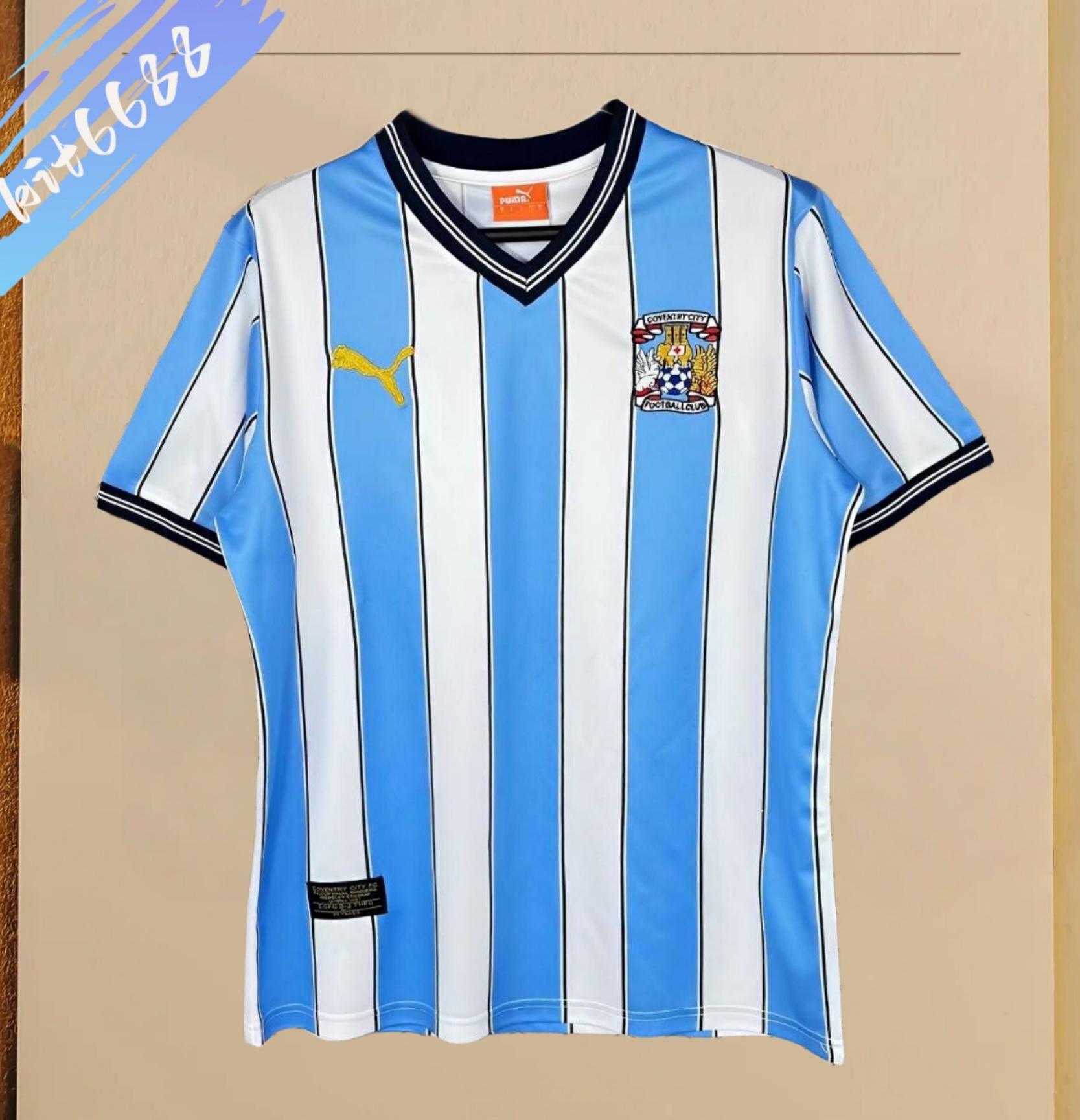 2011/2012 Coventry Hove Retro  Football Shirt (Fan Edition)