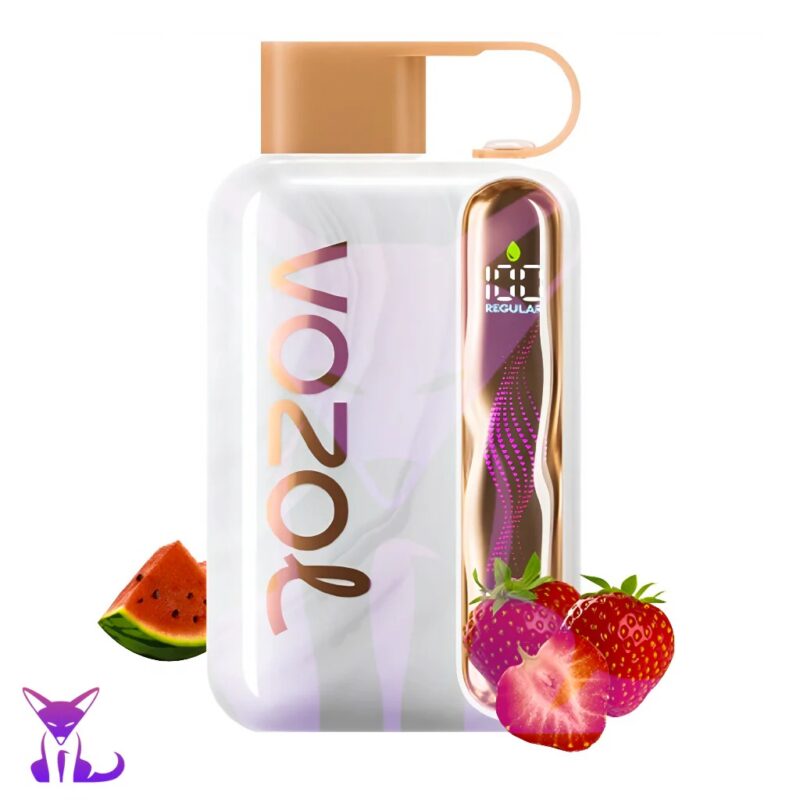 Vozol Star 40000 puffs disposable vape (10 vapes)