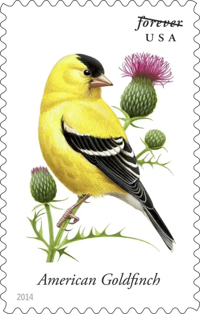 🎁[US Free Shipping]Songbirds