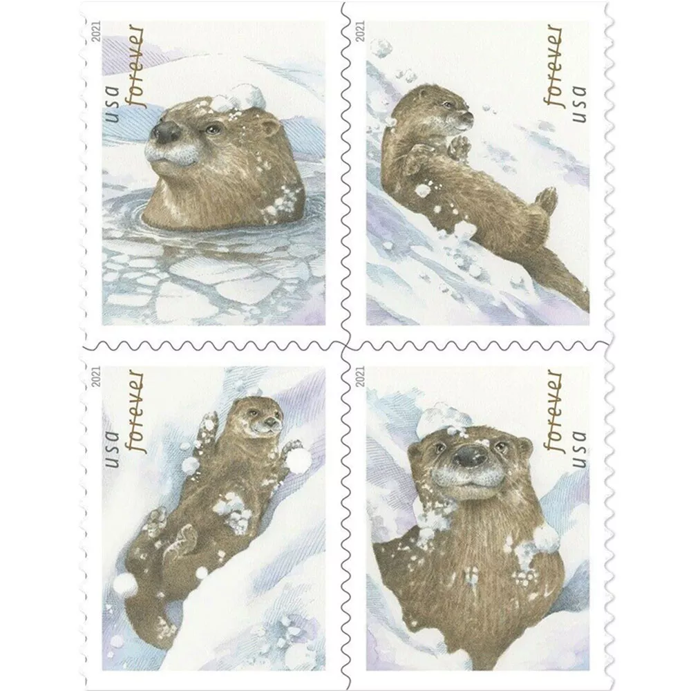 🎁[US Free Shipping]100PCS-Otters in Snow