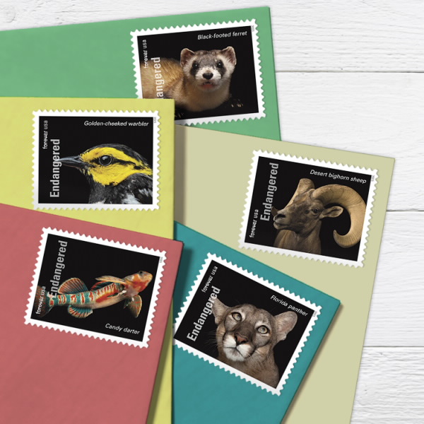 🎁[US FREE SHIPPING]100PCS-Endangered Species