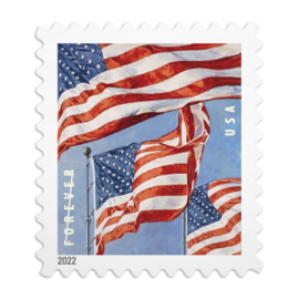 🎁[US Free Shipping]100PCS- Flags 2022