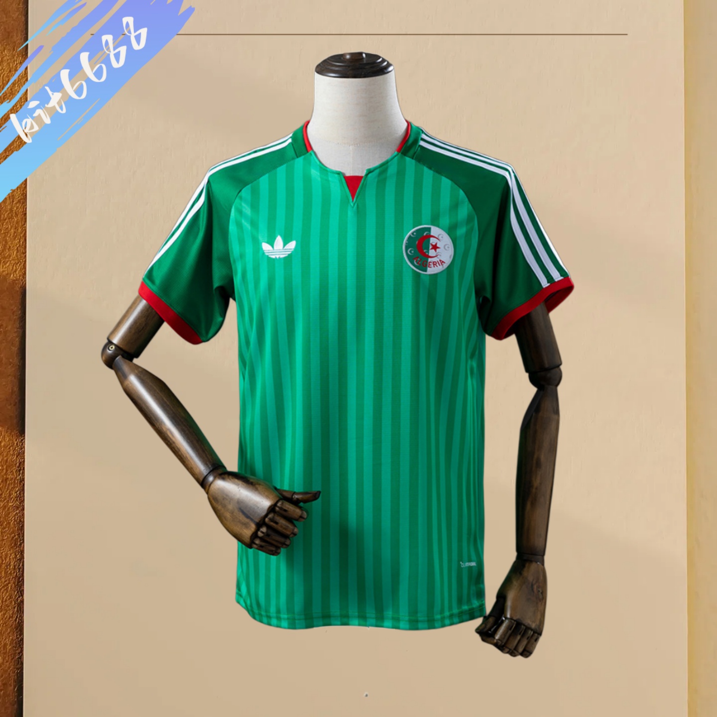2026 Algeria Away Football Shirt (Fans Edition)