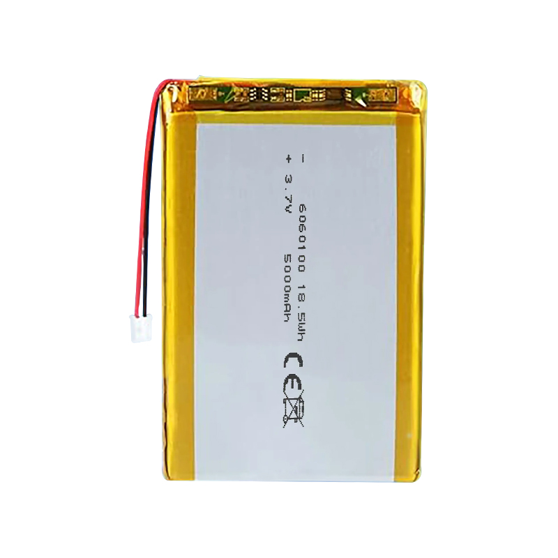 Pouch Lithium Ion Batteries 6060100 3.7v5000mAh