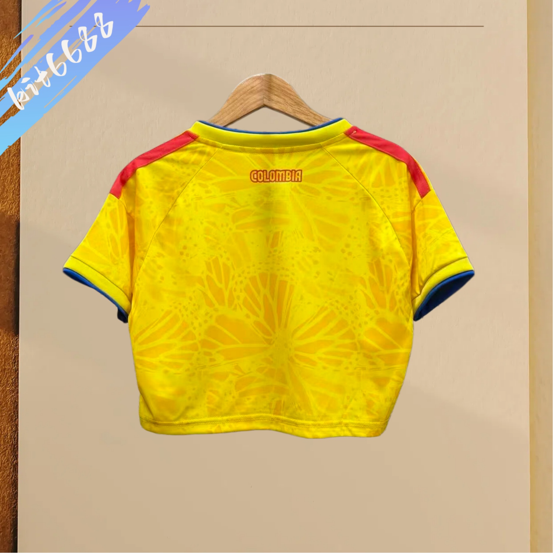 2026 Norway home football shirt (Woman)