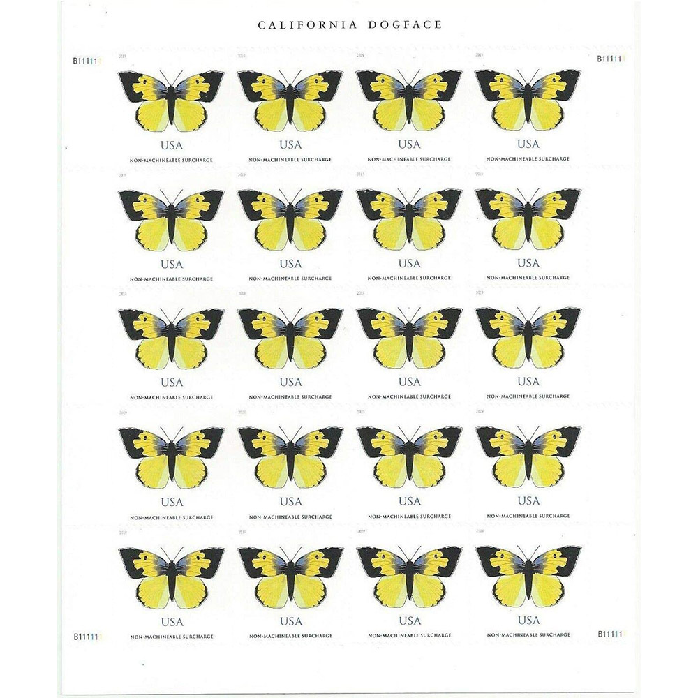 🎁[US Free Shipping]100PCS-Butterfly