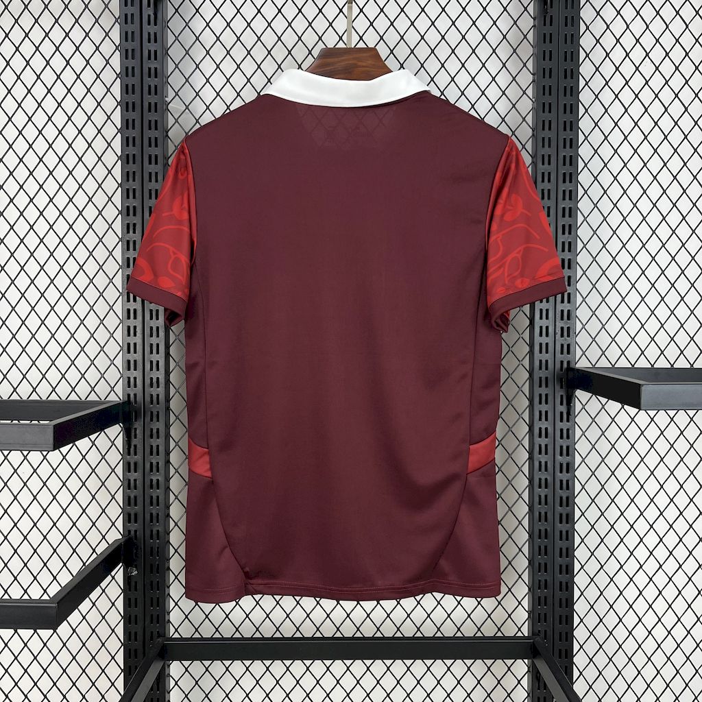 2025/2026 Portugal Pre-match Training Football Shirt （Fan Edition）