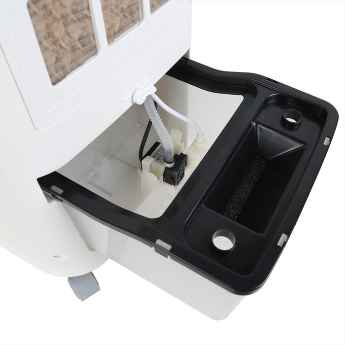 ARGO - POLIFEMO BEAR-Bianco