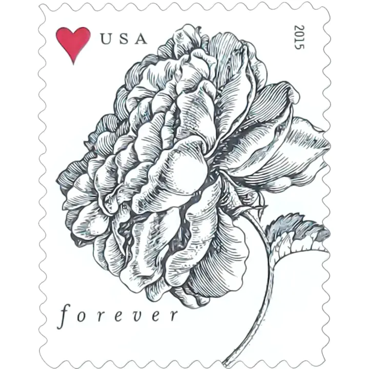 🎁[US FREE SHIPPING]100PCS-Vintage Rose Pane  Forever Postage