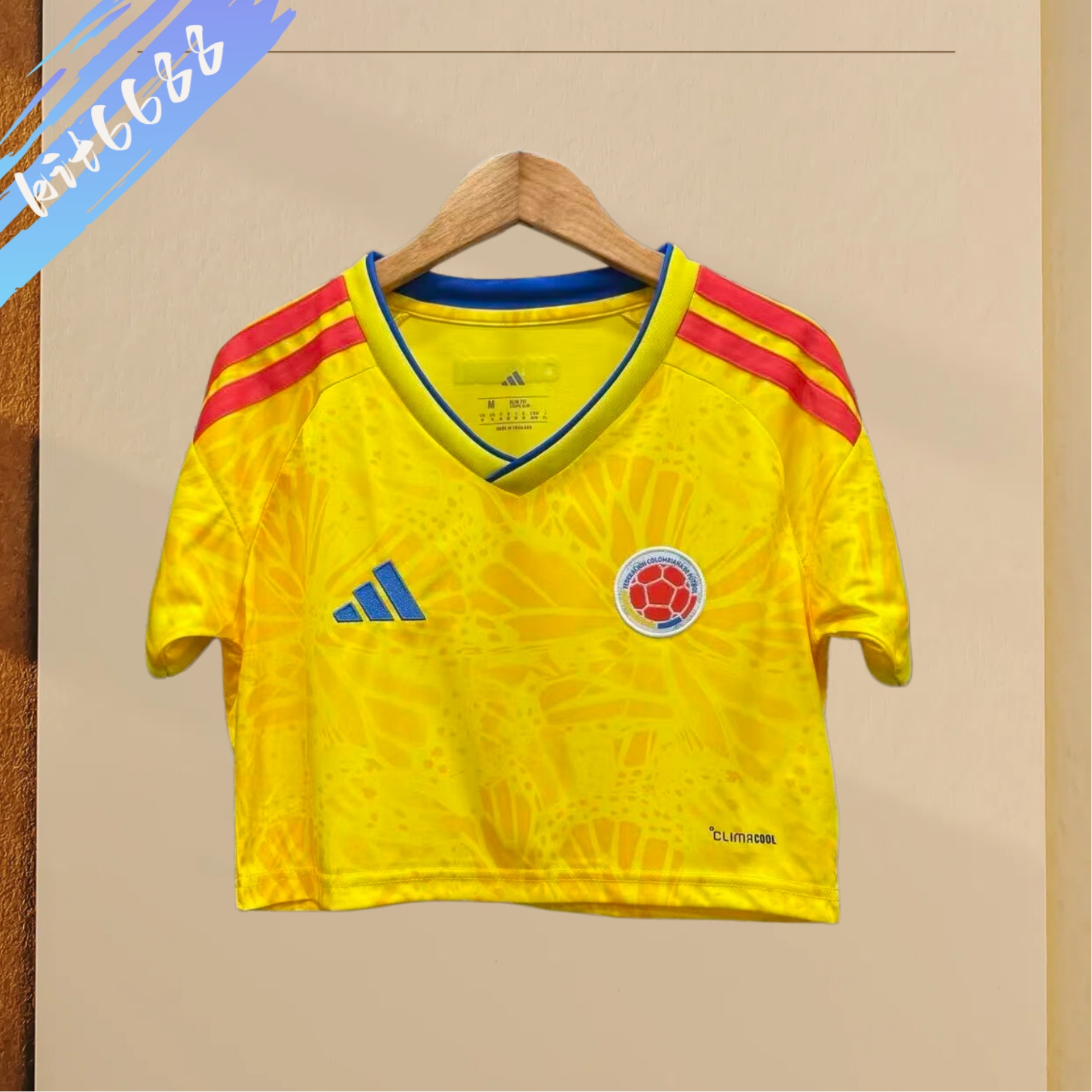 2026 Norway home football shirt (Woman)