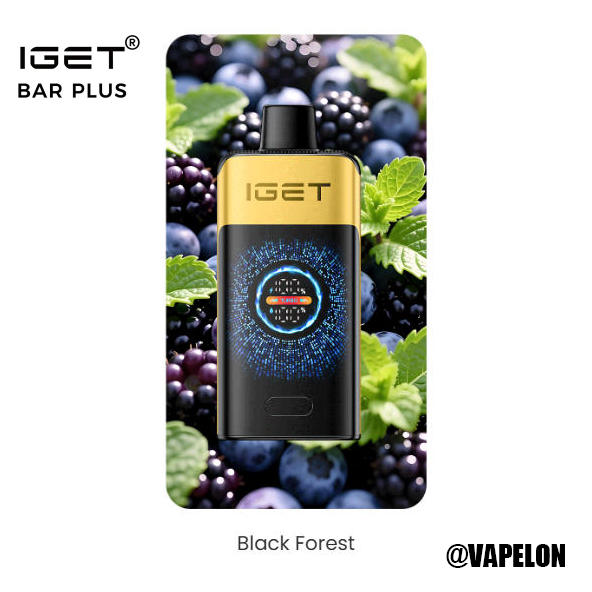 IGET FALCON 25000 Puffs - Black Forest