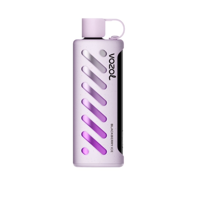 VOZOL GEAR SHISHA 25000 (10 pieces)